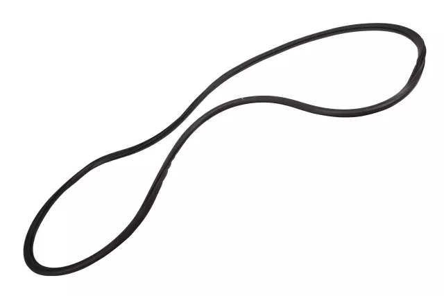 84349113 - : 2020-2024 GM - Front Side Door Body Side Weatherstrip for GM Image