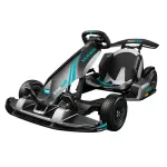 68721761AA - : GoKart Pro 2, sold by Segway for Affiliated Accessories Image