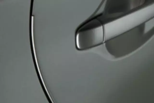 PT9364811020 - Exterior: Door Edge Guards, Cypress Pearl for Toyota Image