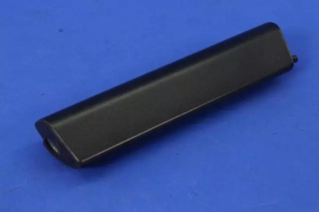 68240110AA - Interior Trim: Door Pull Handle, Right Or Left for Dodge: Challenger Image