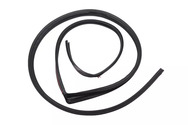 10361067 - Body: Drip Weather-strip for GM Image