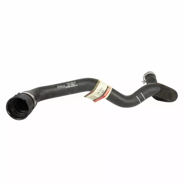 CV6Z8260T - Cooling System: Upper Hose for Ford: Focus Image image