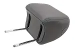23433506 - Body: Headrest for GM Image
