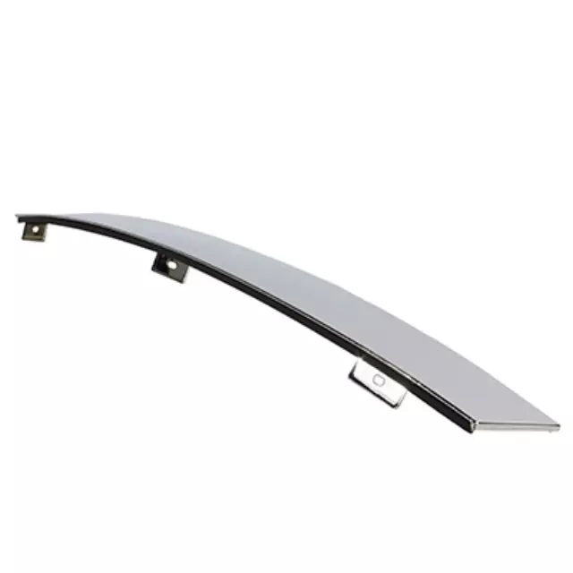 Window Molding - Ford (4W1Z-5420554-AAA)