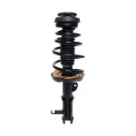 815376 - : PRT 815376 Suspension Strut and Coil Spring Assembly for PRT PERFORMANCE RIDE Image