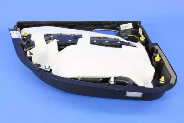 Rear Door Panel, Right - Mopar (5RR001M8AB)