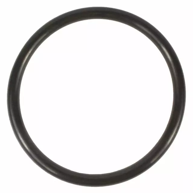 BC3Z00815B - : Thermostat O-Ring for Ford: F-250 Super Duty, F-350 Super Duty, F-450 Super Duty, F-550 Super Duty Image