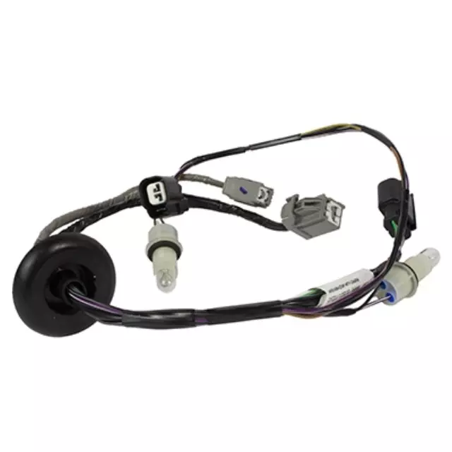 Socket And Wire Assembly Lamp - Ford (ds7z13412b)