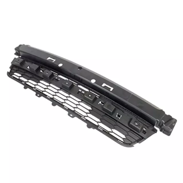 Bumper Grille - Ford (FL1Z-17D635-AA)