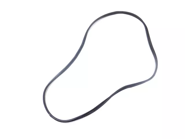 68233254AA - Doors, Door Mirrors and Related Parts: Front Door Opening Weatherstrip, Right for Mopar Image image