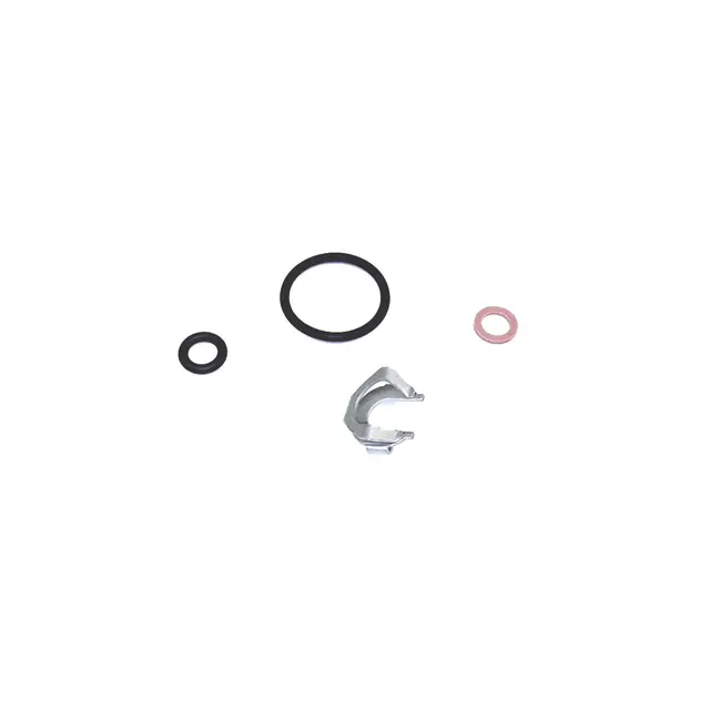 3H198149A - : OEM NEW 2006-19 VW Volkswagen Touareg Passat Fuel Injector O-Ring Kit 03H198149A for Volkswagen: Atlas, Atlas Cross Sport, CC, Passat, Touareg Image