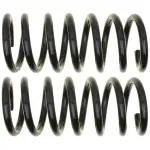 81387 - : Coil Spring Set for Moog Image