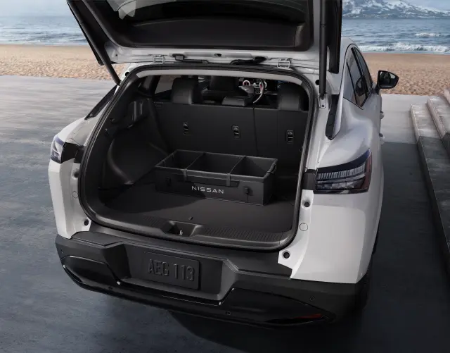 Cargo Organizer - Removable Tote - Nissan (T99C2-5ZW0A)