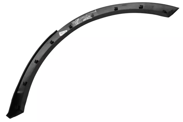 Rear Passenger Side Fender Molding - GM (19256098)