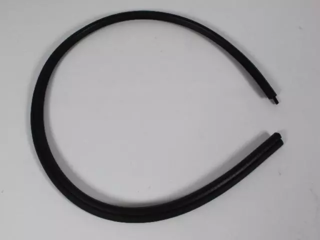 55255886 - : Quarter Window Seal for Mopar Image