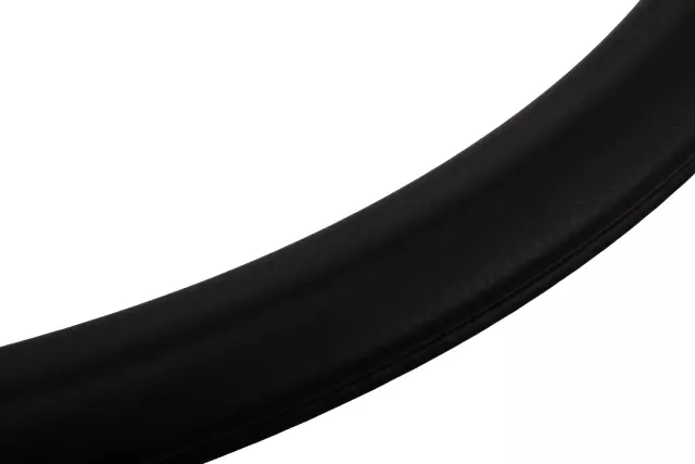 Rear Side Door Weatherstrip - GM (84738262)