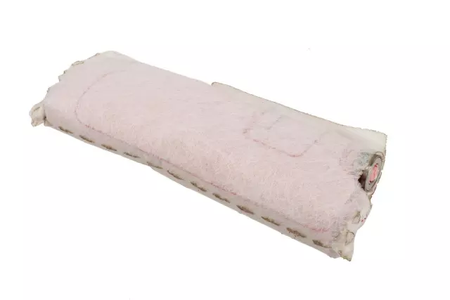 Rear Seat Air Bag - GM (39132948)