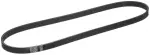 119500M200 - : Power Steering Belt for Nissan Image