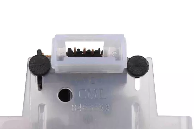 Rear Seat Position Center Courtesy Lamp - GM (95063926)