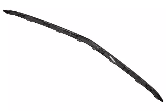 Black Front Grille Molding - GM (39096500)