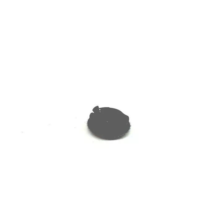 Lid Trim Cap - Volkswagen (3C8-867-649-02S)