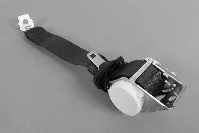 2nd Row Seat Belt And Retractor, Center - Mopar (1SV68DX9AC)