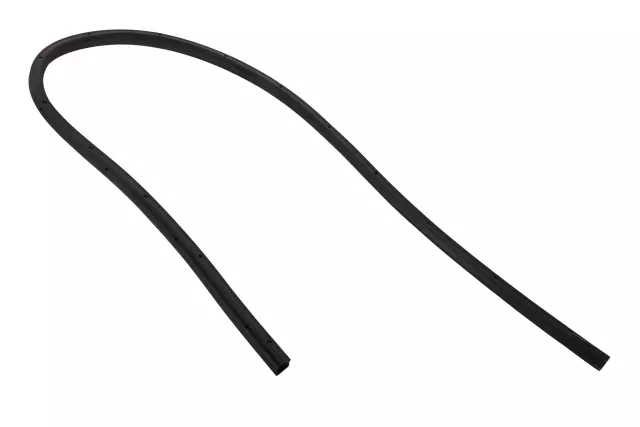 2017-2020 GM Cowl Cover Seal - GM (23269836)