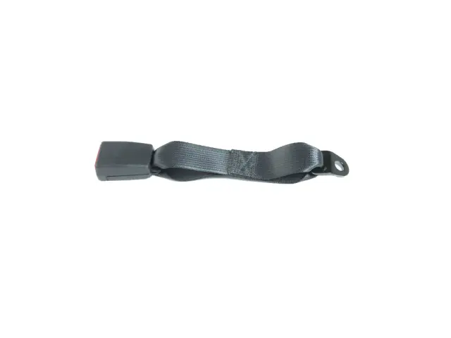 6DJ28TX7AB - Restraints: Buckle Assy-s/belt Buckle Assy for Mopar Image image