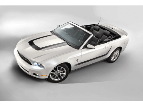 Black, Body Side & Hood, W/O Hood Scoop - Ford (AR3Z6320000GF)