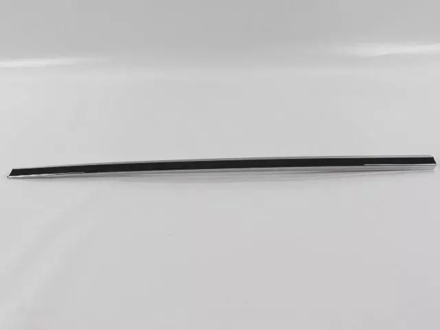 Front Door Molding, Right - Mopar (ZT52SZ0AA)