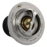 RT1258 - : Motorcraft™ Thermostat for Ford: Explorer, Mustang, Police Interceptor Utility | Lincoln: Aviator, Continental Image