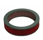 22012116 - : Air Filter for OmniParts Image