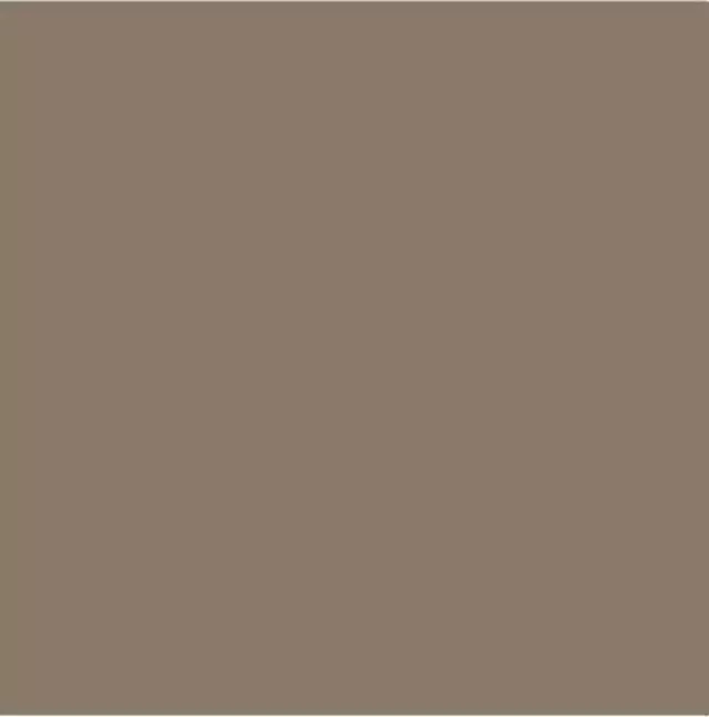 Coppertino Metallic (WA444C) Touch-Up Paint - 5 oz Spray - GM (19367672)