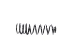 68370569AB - : Rear Coil Spring, Right for Ram: 1500 Image