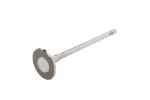 25207383 - Engine: Exhaust Valve for GM Image