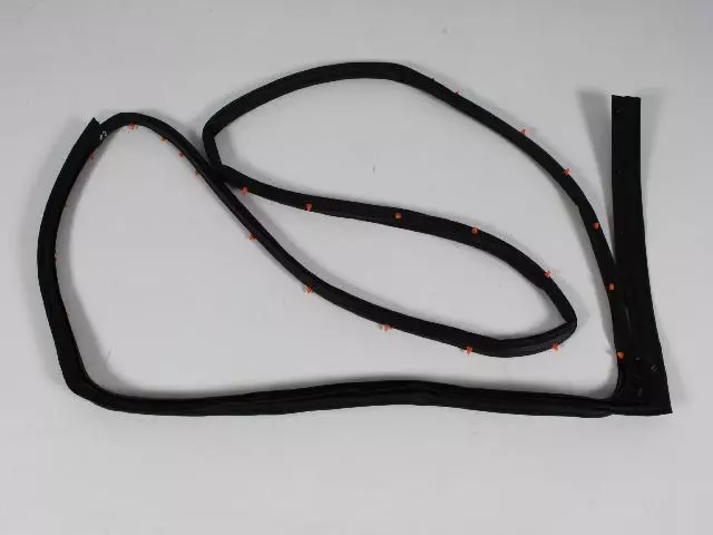 Rear Door Mounted Weatherstrip, Left - Mopar (05076869AC)