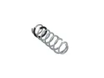 68506391AA - Front Suspension: Front Coil Spring, Right for Mopar Image