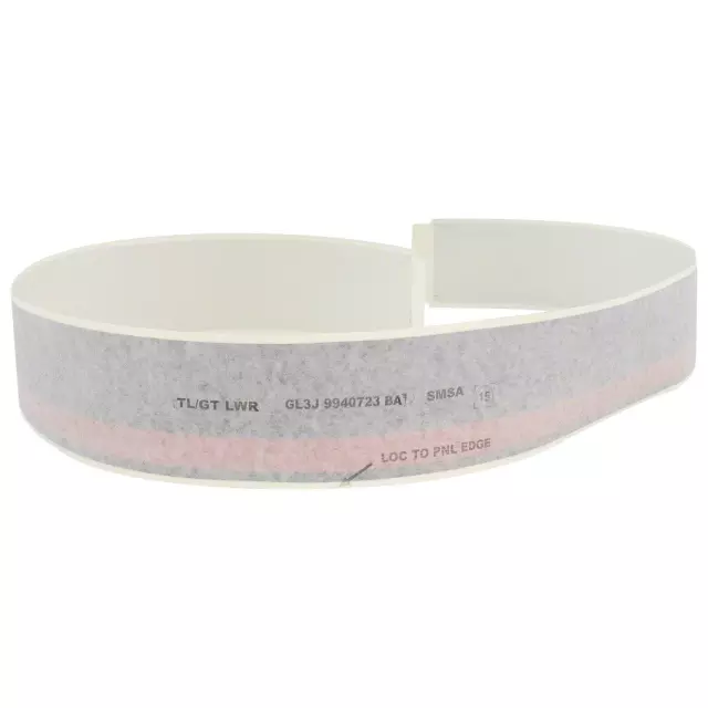 GL3Z9942604BA - Body: Stripe for Ford: F-150 Image