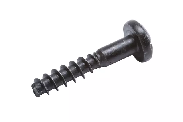 Bolt - GM (11589092)