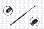 84191 - : Focus Auto Parts Back Glass Lift Support for Focus Auto Parts Image