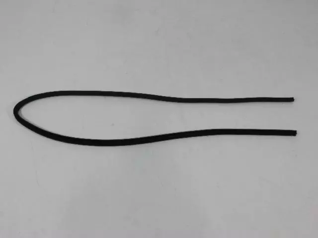 Door Opening Weatherstrip - Mopar (55112354AC)