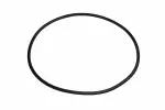 24230738 - : 3-5-Reverse Clutch Piston Inner Seal for GM Image