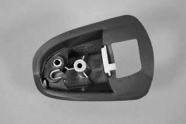 Outside Door Handle Bezel, Right - Mopar (UP86EVJAB)