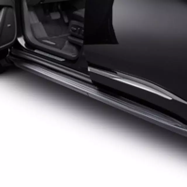 Molded Assist Steps - Paint To Match - GM (84357969)
