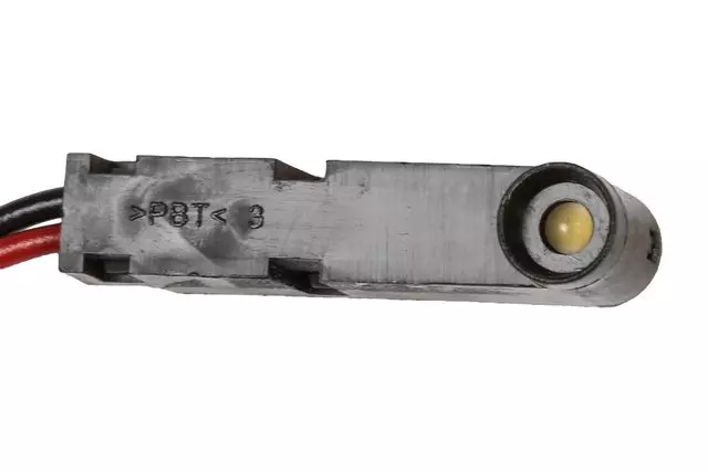 20813417 - Body: Courtesy Lamp for Cadillac: SRX Image