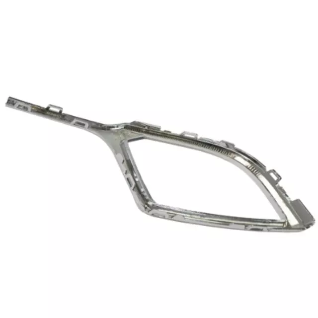 Trim Molding - Ford (BA1Z15266B)