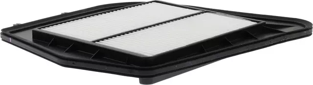 Air Filter - GM (25798270)