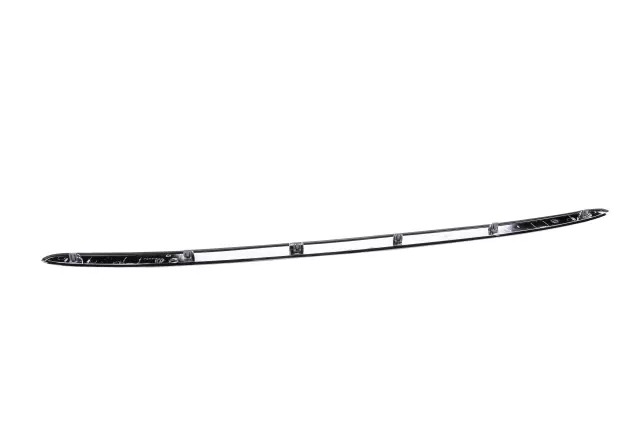 Bright Chrome Hood Front Molding - GM (15137020)