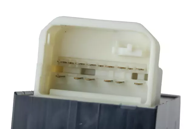 Door Lock and Side Window Switch with Side Window Lockout Switch - GM (19204262)