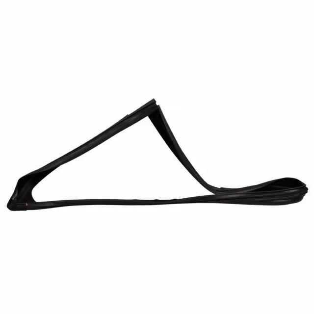 Run Channel - Ford (FN1Z-7421597-F)